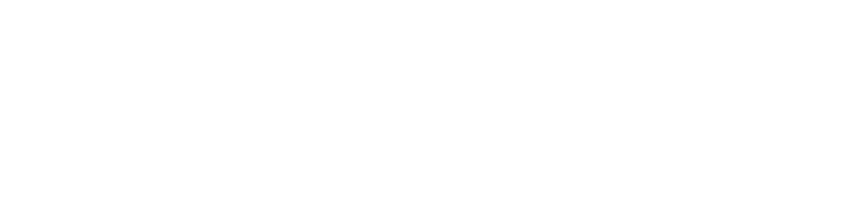NextGen Network Services